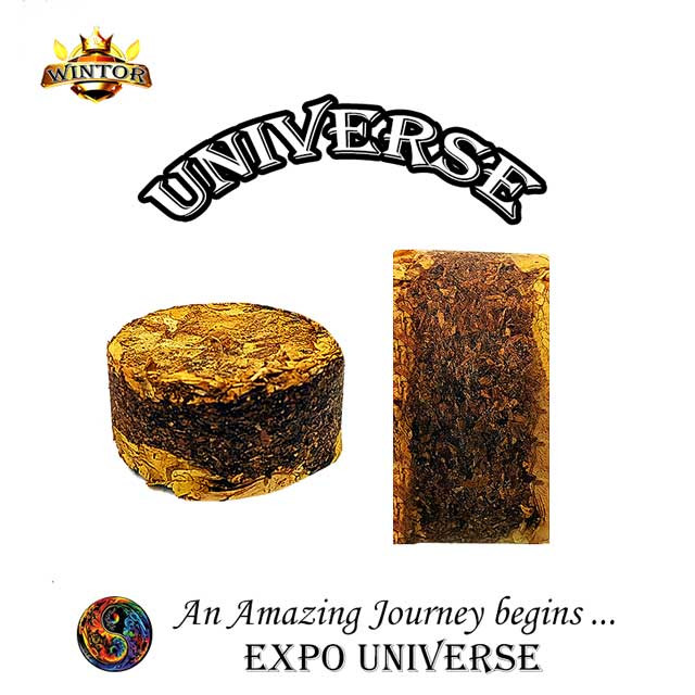 توتون یونیورز وینتور UNIVERSE