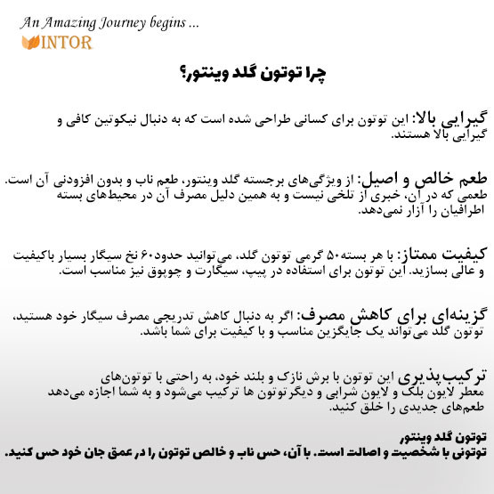 توتون گلد وینتور gold